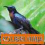 icon Master Kicau Kolibri Ninja for Micromax Canvas 5 Lite Special Edition