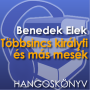 icon hu.alchimedia.benedekelek2