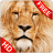 icon Animal Sounds 14.0