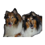 icon Dog Training for Amigoo R9 Max