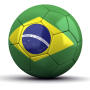 icon Fixture Brazil 2014