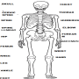 icon RADIOLOGY MANUAL