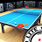 icon ProArenaTableTennis 1.0.0