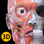 icon Anatomy 3D Atlas for Samsung Galaxy S3