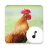 icon Chicken Sounds 4.3.8