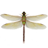 icon Dragonfly 1.26