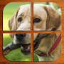 icon Dogs Puzzle