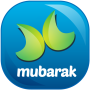 icon Mubarak