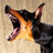 icon Barking Dog Ringtones 1.1.5