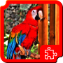 icon Birds Puzzles