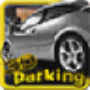 icon Parking 3D